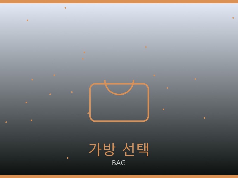 네오노에BB 미러급 사이트 가방 선택 가이드
