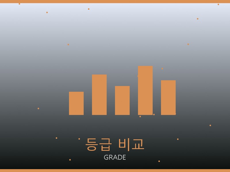 네오노에BB 미러급 사이트 등급 기준 비교