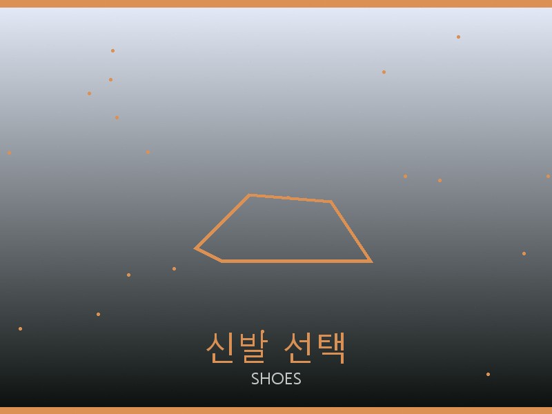 네오노에BB 미러급 사이트 신발 선택 가이드
